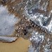 Ткань Пайеточная двухсторонняя (молоко-золото)